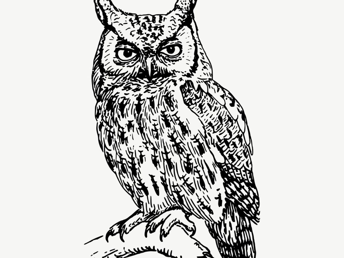 Did You Know: Register of&nbsp;Probate