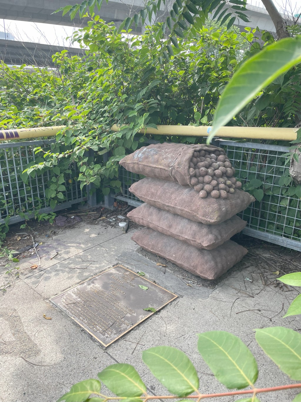 Mass Obscura: The Potato Shed&nbsp;Memorial