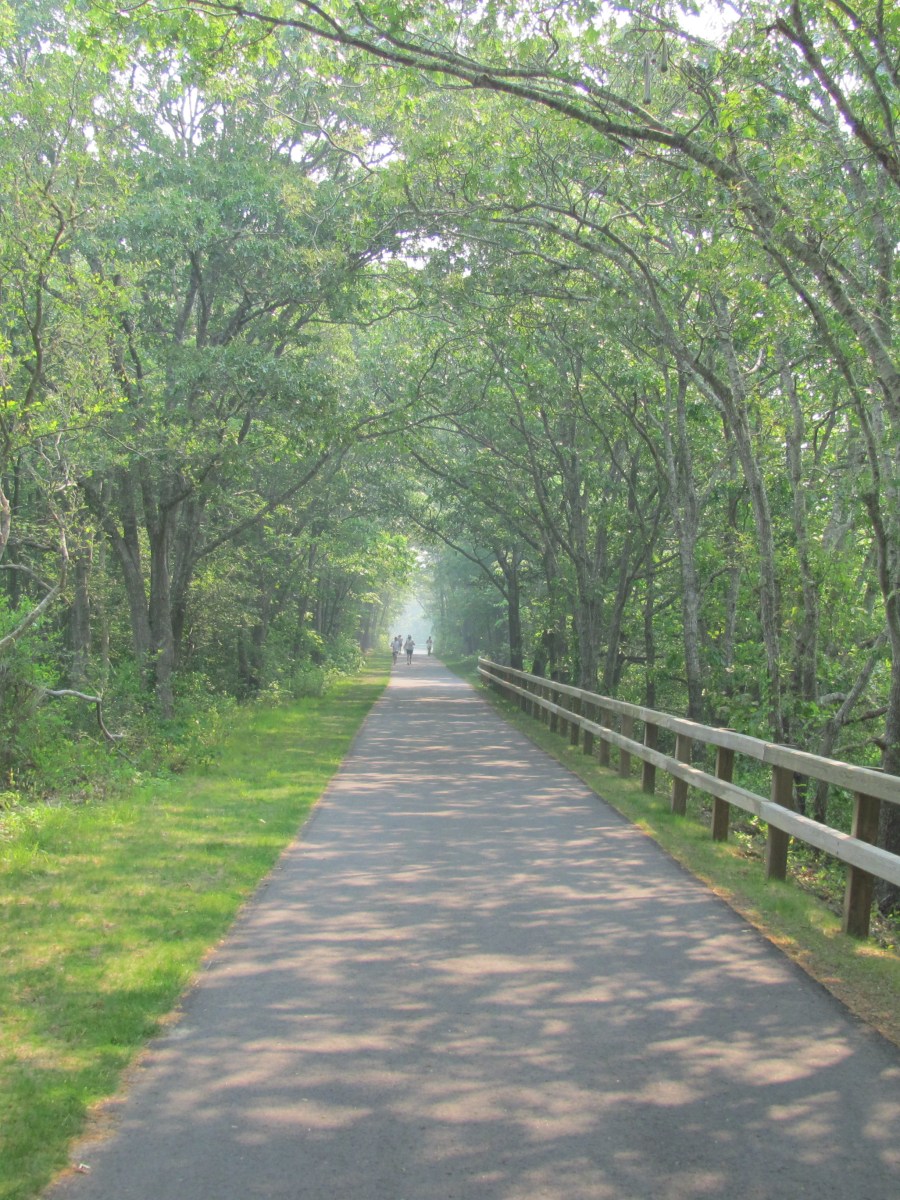 Cape Cod Rail&nbsp;Trail