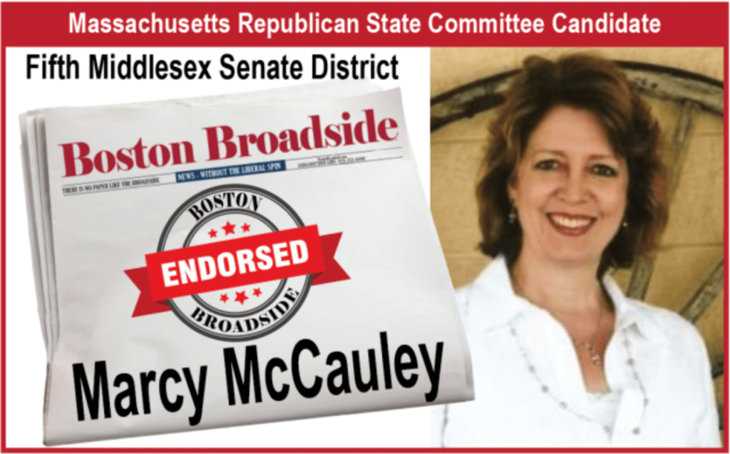 Marcy McCauley for State&nbsp;Committee